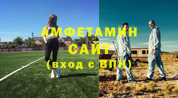 сатива Строитель
