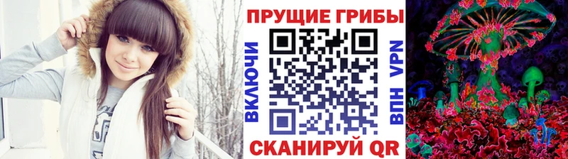 Псилоцибиновые грибы Psilocybine cubensis  Видное 